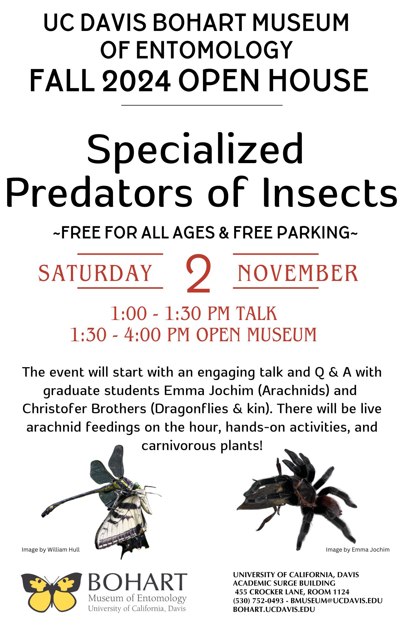 Announcement for Nov. 2, 2024 event at the Bohart Museum about predators of insects. 